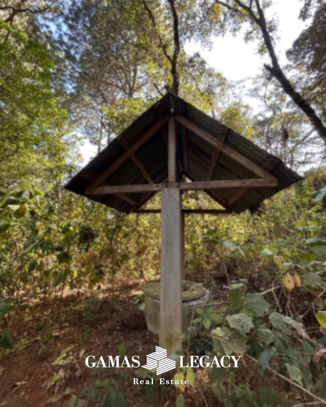 Foto 2 Terreno El Encinal